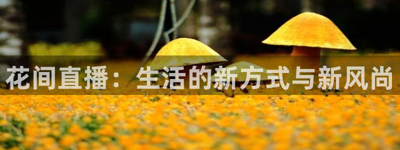 857直播nba在线观看：花间直播：生活的新方式与新风尚