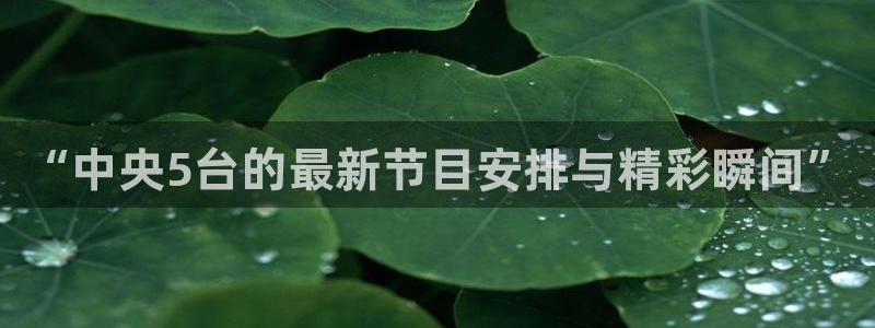 足球直播857直播间：“中央5台的最新节目安排与精彩瞬间”