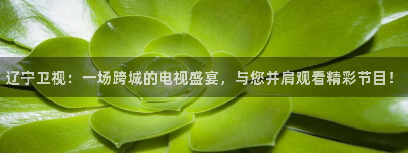 857免费直播nba：辽宁卫视：一场跨城的电视盛宴，与您并肩观看精彩节目！