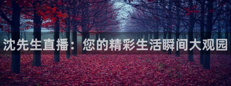 857直播看球直播间：沈先生直播：您的精彩生活瞬间大观园