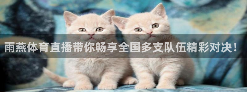 857直播体育专业直播：雨燕体育直播带你畅享全国多支队伍精彩对决！